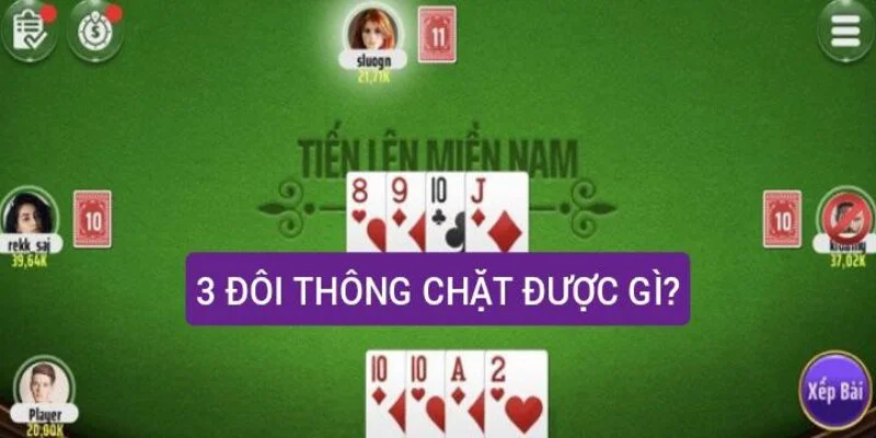 3 cặp lá thông có thể làm được những gì? Đọc người cầm ba cặp lá thông