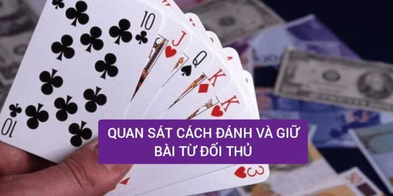 3 cặp lá thông có thể làm được những gì? Đọc người cầm ba cặp lá thông